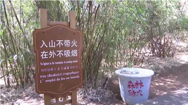 贊！雞足山景區(qū)連續(xù)35年無(wú)森林火災(zāi)，因?yàn)樗麄?..